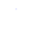 VOX LUMINIS